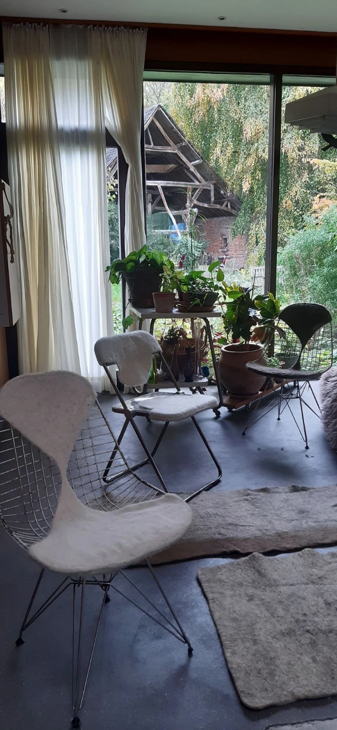 designer chairs tailor-made unique wool covers