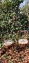 20260308_135304.webp